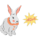 Rabbit Universe collection