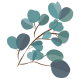 Flora collection