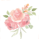 Lady Mary collection